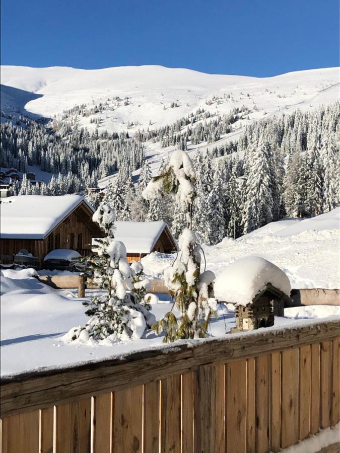 Almhaus Chalet Lachtal Oberwoelz Stadt Εξωτερικό φωτογραφία